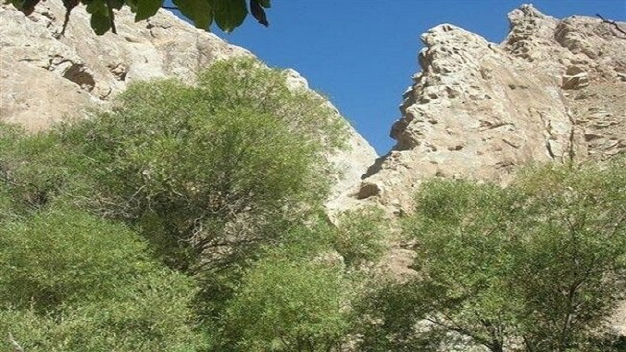 ثبت ۸۹ پرونده خراسان جنوبی در فهرست میراث ناملموس کشور