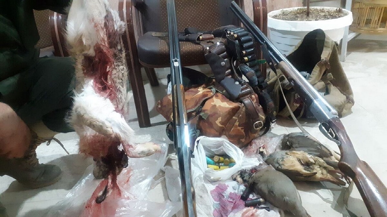 ۹ متخلف و شکارچی غیرمجاز در اشنویه دستگیر شدند
