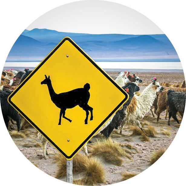 از لیز خوردن ممنوع تا هشدار برای نزدیک شدن به میدان جنگ!