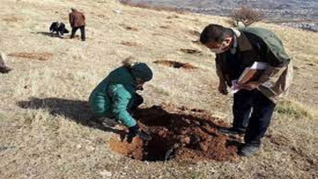 آغاز پویش مردمی بذرکاری در ۲۵ هکتار از عرصه های منابع طبیعی قهاوند