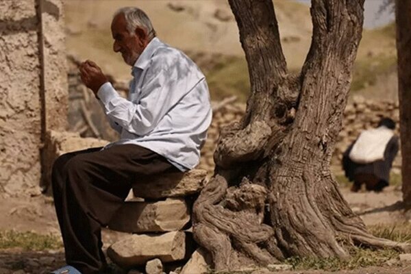 فیلم&zwnj;های سودای سیمرغ فجر ۴۰ را بیشتر بشناسید + تصاویر