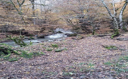 طبیعت بی نظیر روستای زیبای مژدهه