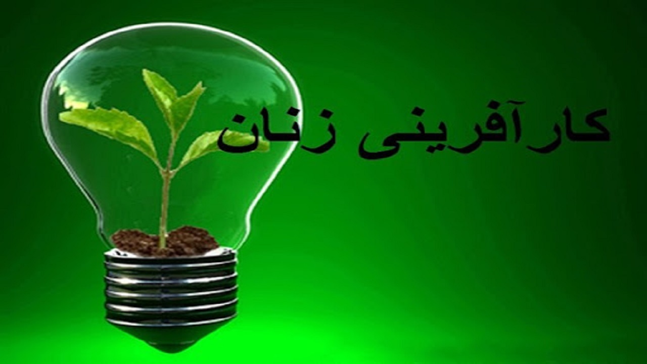 بانوان کارآفرین به دنبال دانش بنیان شدن محصولات خود باشند
