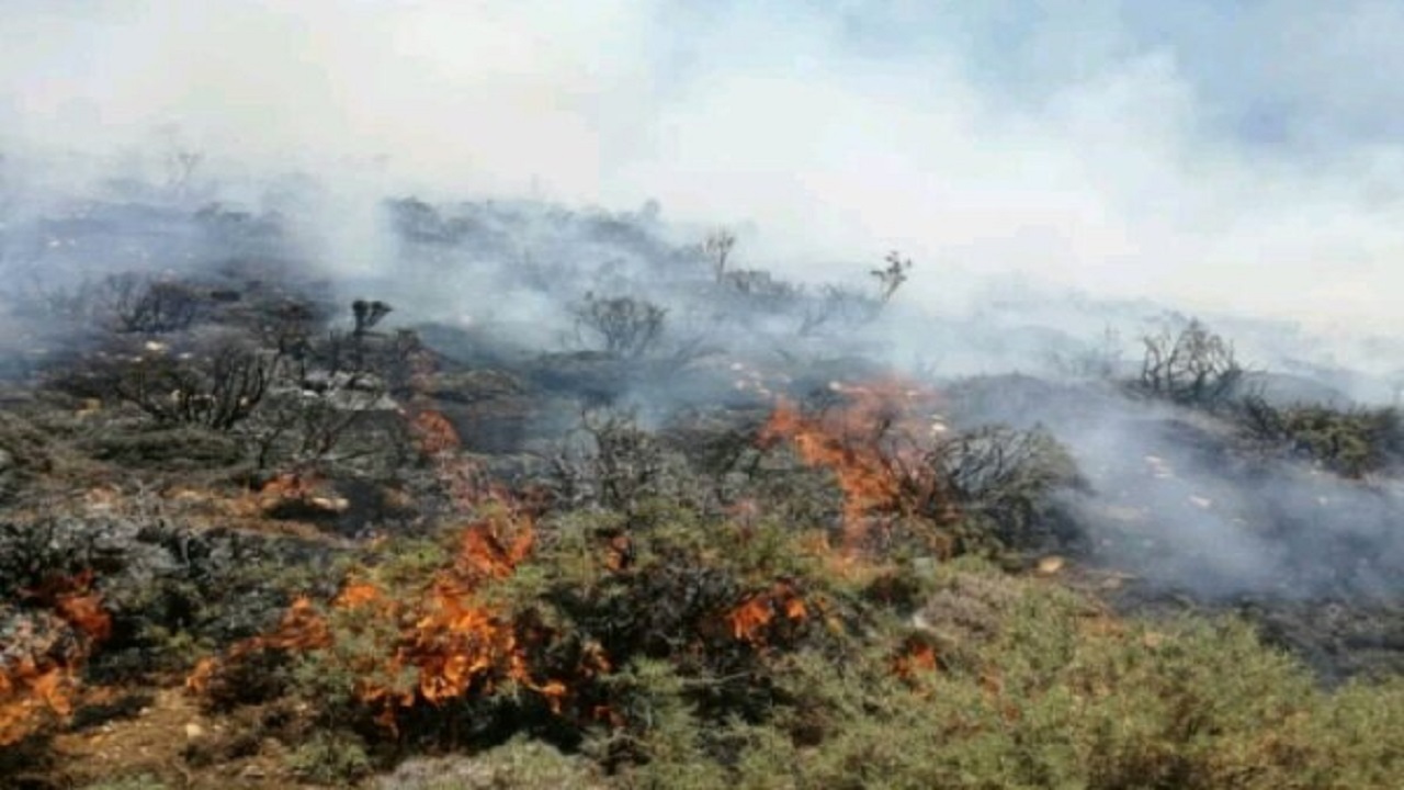 حریق گسترده در باغ‌های غنچه خوران طارم‌سفلی