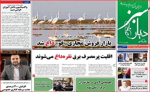 دیار سبر