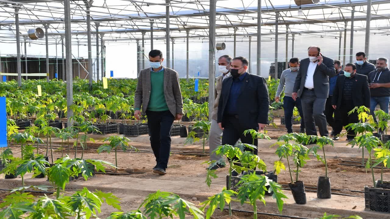 احداث بزرگترین شهرک گلخانه‌ای کشور در اندیمشک