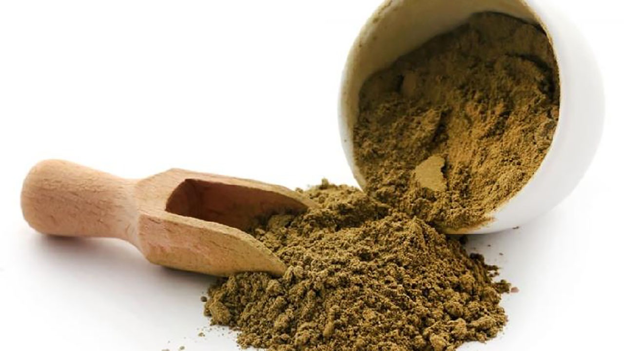 برداشت حنا و وسمه به کرمان رنگ دیگری داد