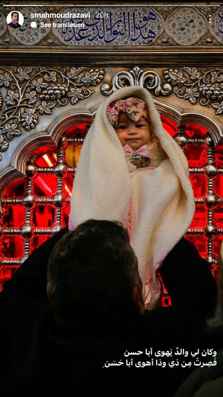 سید محمود رضوی