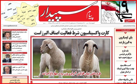 سپیدار