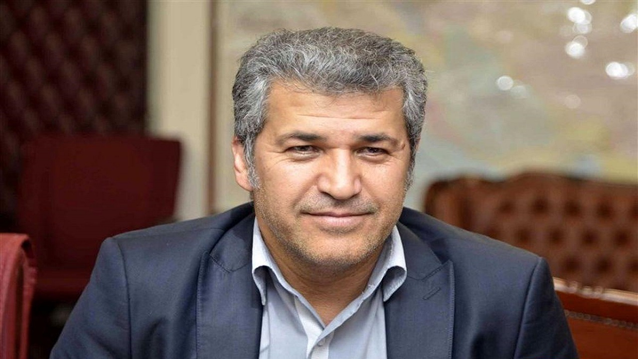 رغبتی:بهمن ماه فرایند خصوصی سازی سرخابی‌ها آغاز می‌شود