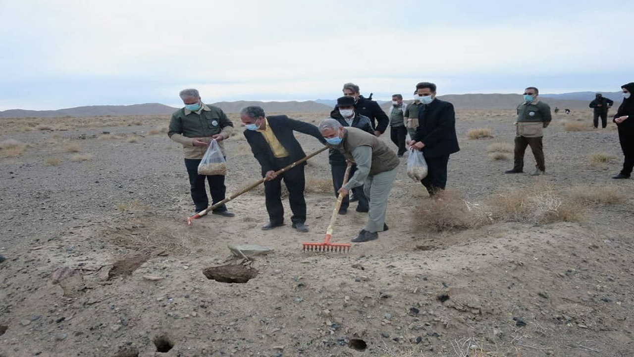 آغاز پویش ایران سرسبز در خراسان جنوبی