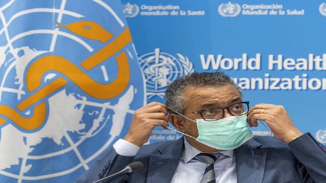 از سونامی مبتلایان به کرونا نگرانم