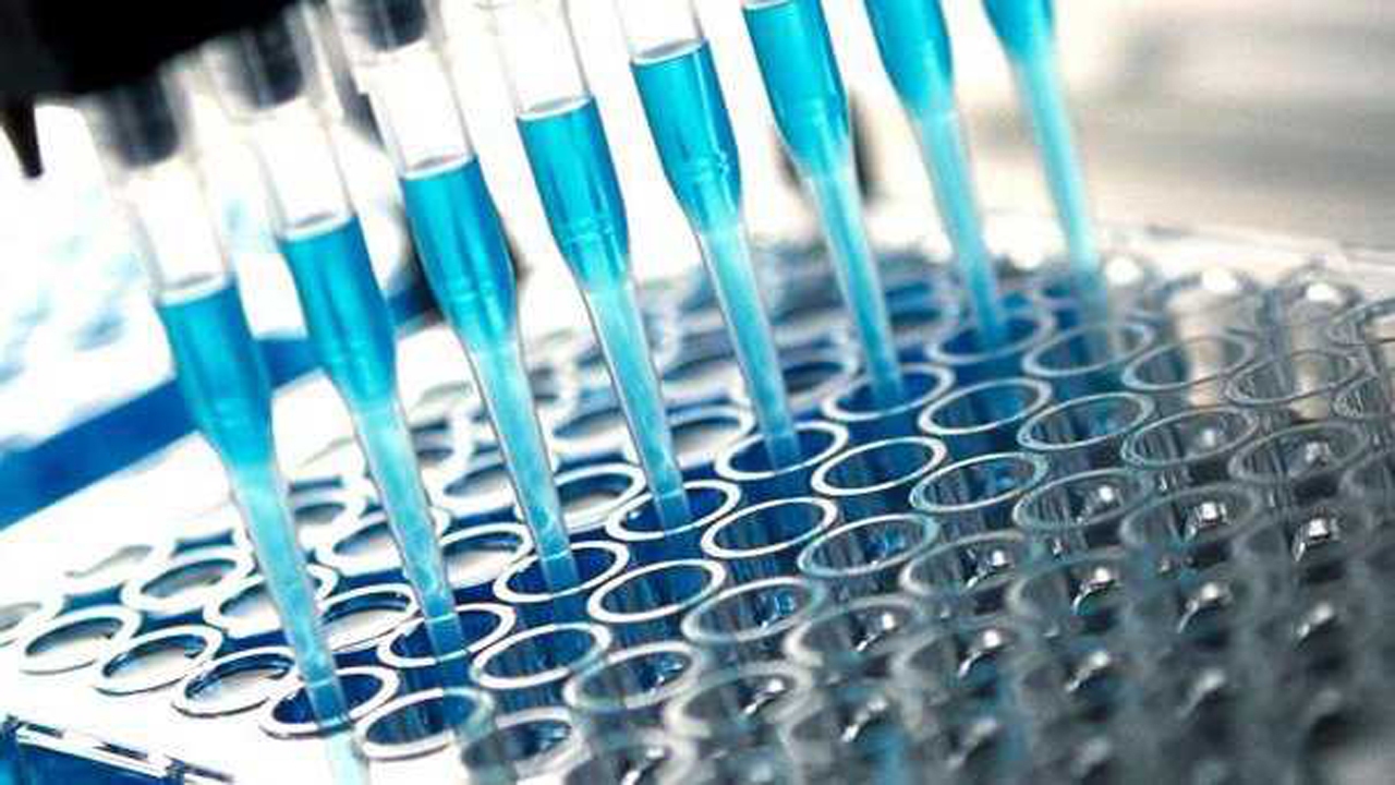 طراحی و ساخت کیت الایزا جهت اندازه‌گیری سطح فاکتور رشد جفتی برای اولین بار در کشور