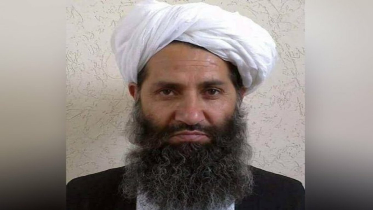 به عفو عمومی احترام بگذارید و ظلم نکنید