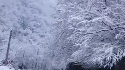 طبیعت زیبای روستای تاریخی ماسوله + فیلم
