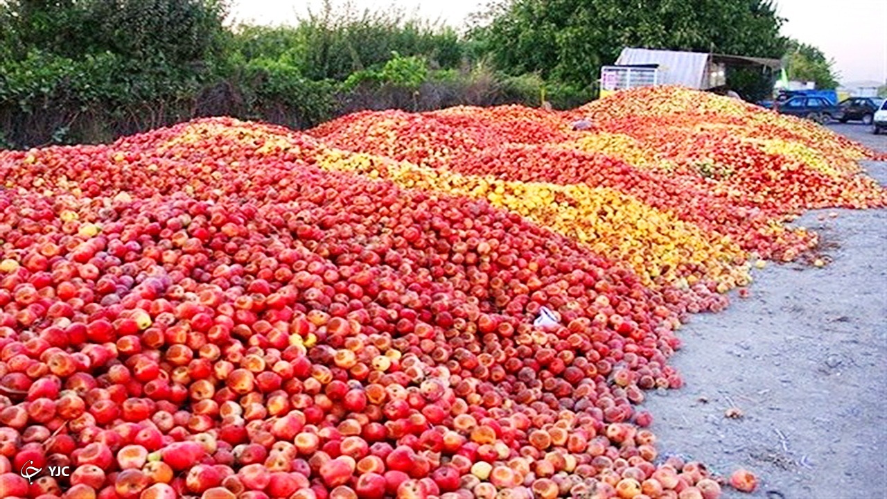 کمیته ویژه سیب به آذربایجان‌غربی اعزام می‌شود