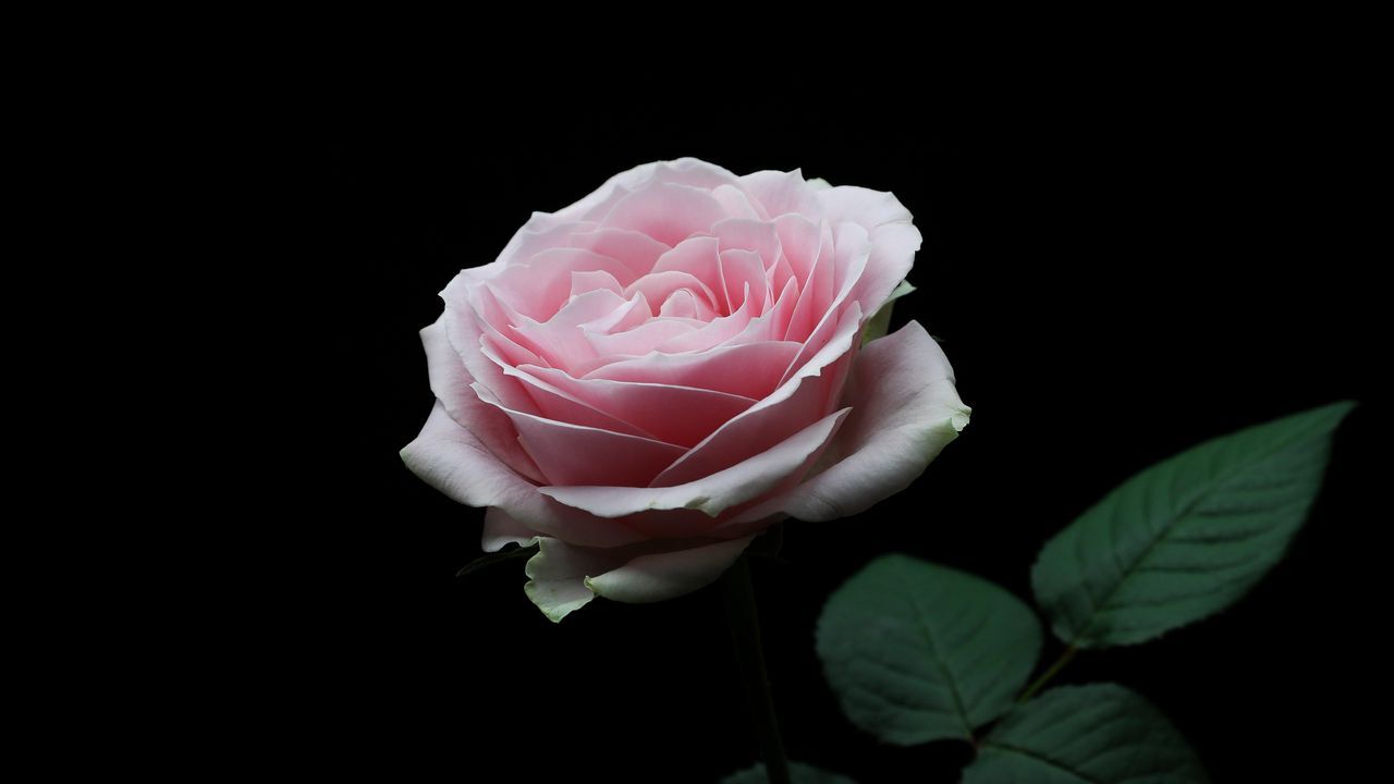 تصاویر پس زمینه (یکم بهمن)