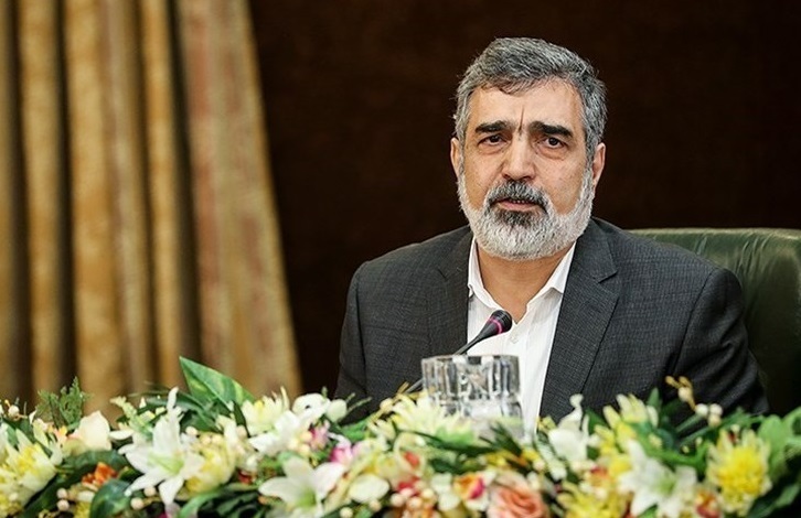 ارتقای همکاری‌های صلح‌آمیز هسته‌ای در دیدار پوتین و رئیسی بررسی شد