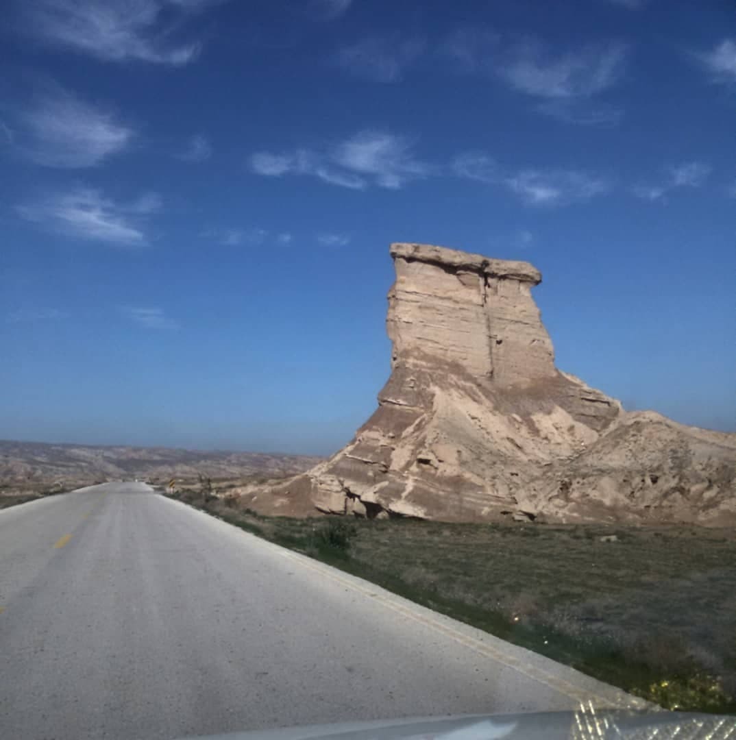 نمایی از طبیعت کلل دشتی در یک نگاه + تصاویر