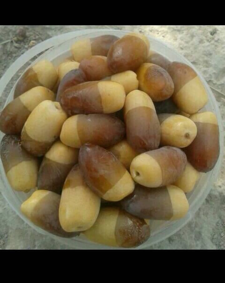 نمایی از طبیعت کلل دشتی در یک نگاه + تصاویر