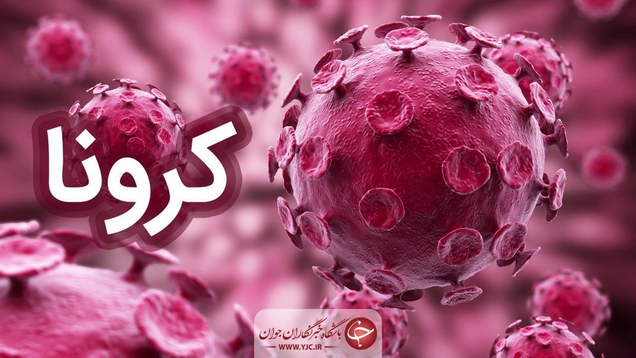 ۸۱ بیمار مبتلا به کرونا در مراکز درمانی زنجان بستری هستند
