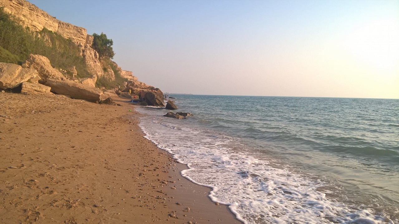 بیش از ۴ هزار و ۸۰۰ هکتار زمین ساحلی بوشهر سند دارند