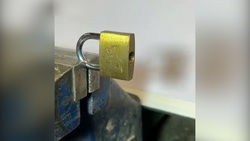 راه حل جدا کردن پوست گوجه + فیلم