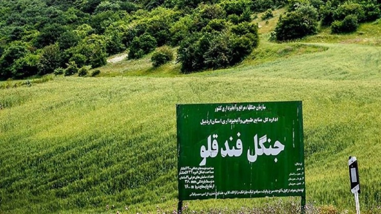 پایش جنگل فندقلو با نصب دوربین مستمر انجام می‌شود