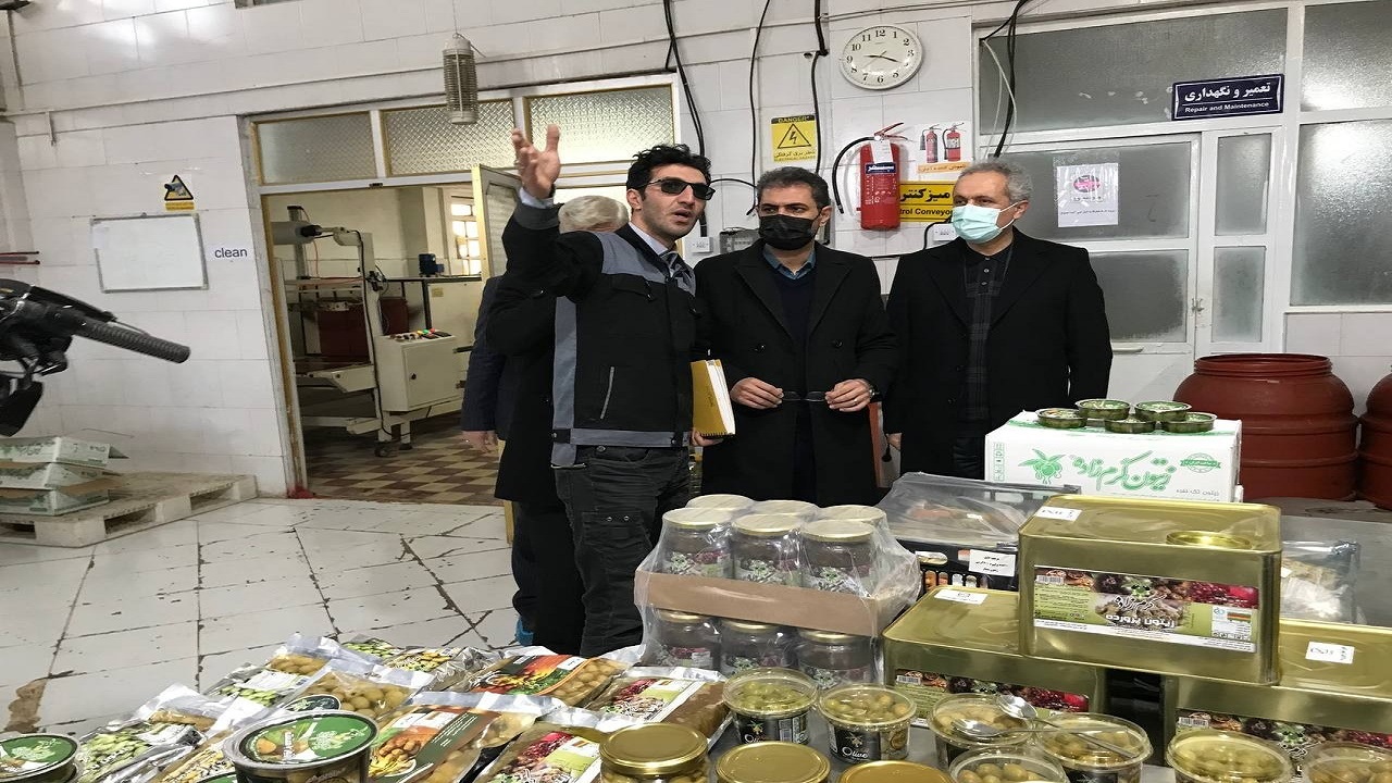 کارخانه فرآوری زیتون در سنندج به چرخه تولید اضافه شد