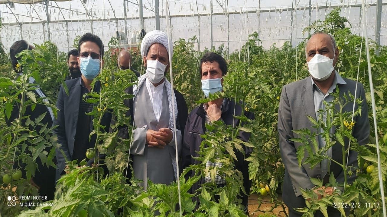 کاهش مصرف ۸۰درصدی آب درنخلستان فهرج