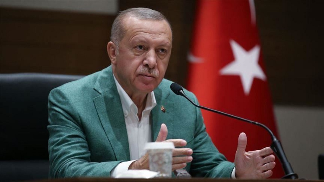 سفر اردوغان به اوکراین به منظور میانجی گری