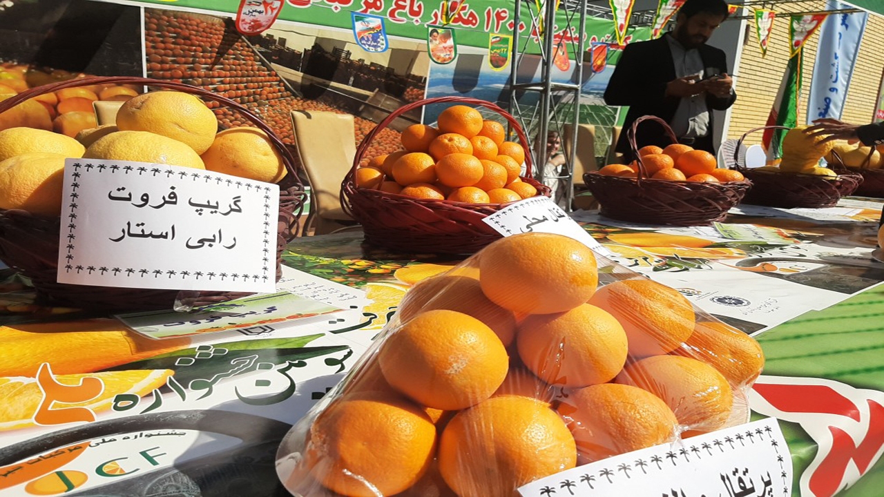 برگزاری سومین جشنواره ملی مرکبات در جیرفت