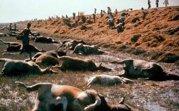 معرفی مرگبارترین بلایای طبیعی جهان + تصاویر معرفی مرگبارترین بلایای طبیعی جهان + تصاویر