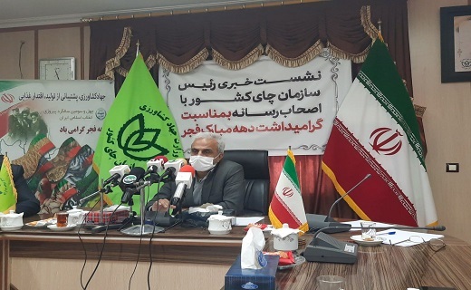 نشست خبری رئیس سازمان چای کشور به مناسبت دهه فجر