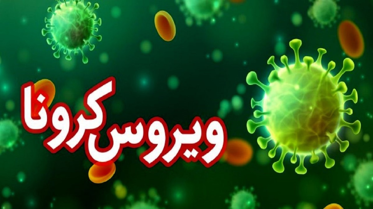 روز بدون فوتی کرونا و ۳۱ بستری جدید در اردبیل