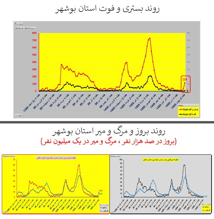 روند بستری و فوت استان بوشهر روند بستری و فوت استان بوشهر