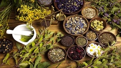 خواص چای سبز از نظر طب سنتی + فیلم