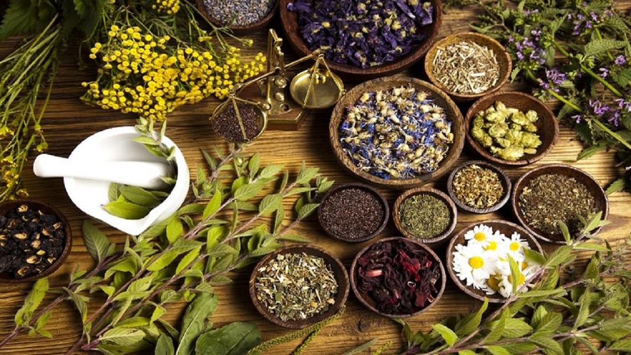 مصرف این ۷ گیاه دارویی معجزه می‌کند
