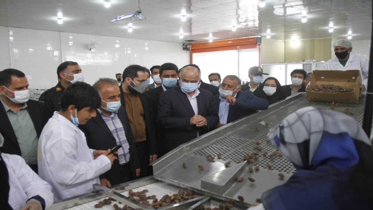 گازرسانی به ۹ روستا و ۱۳ واحد صنعتی در دشتستان افتتاح شد گازرسانی به ۹ روستا و ۱۳ واحد صنعتی در دشتستان افتتاح شد
