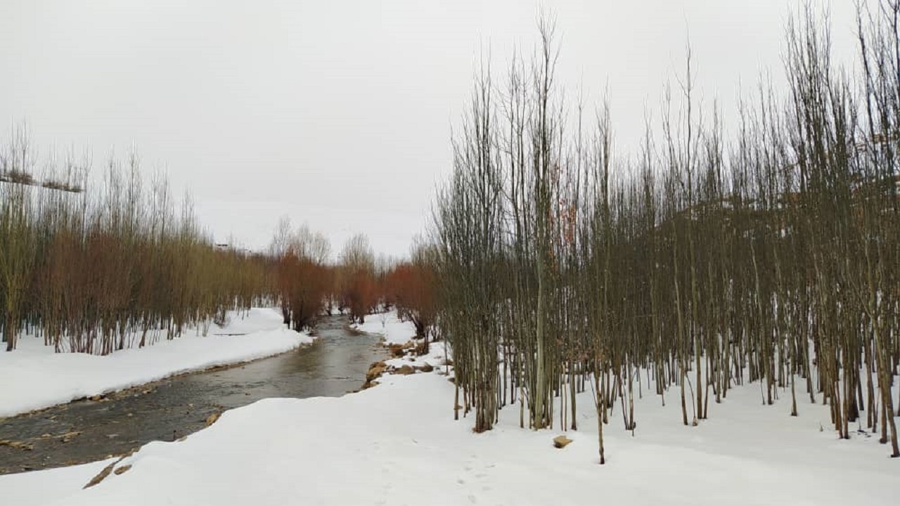 تصاویر زمستانی روستای امیدآباد سراب در یک روز بارانی
