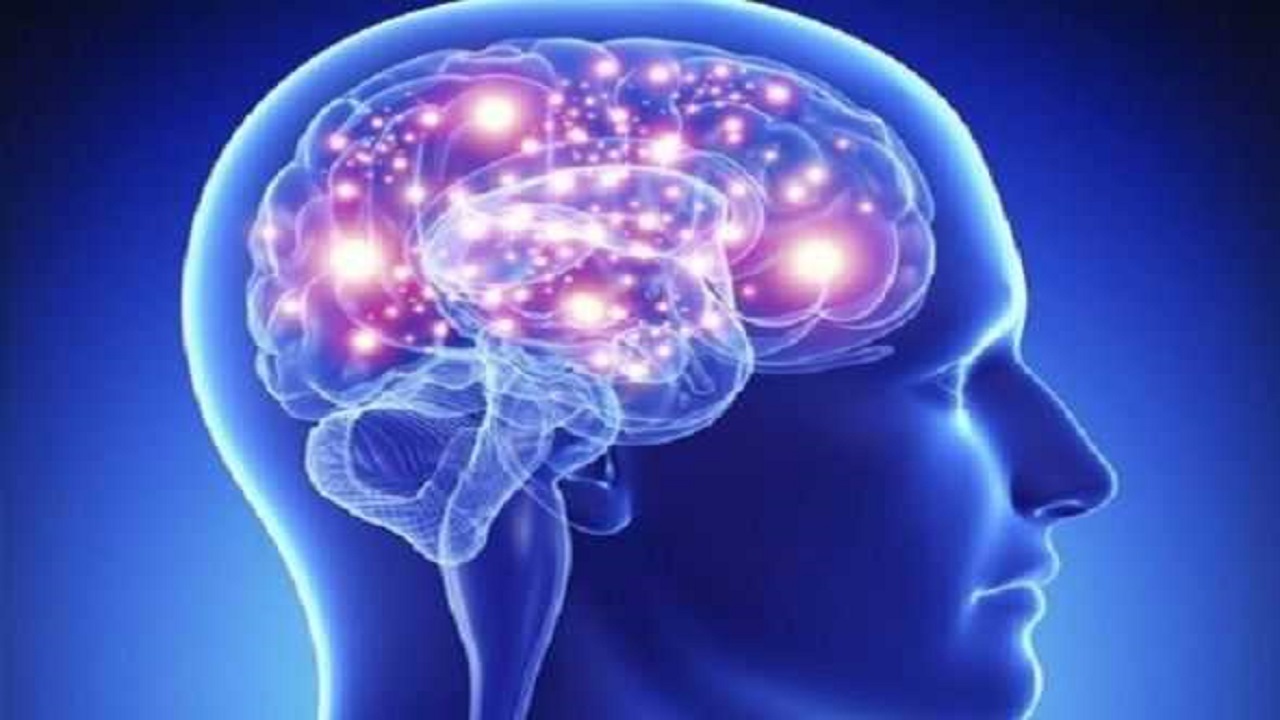 هنگ کردن مغز چگونه رخ می دهد؟