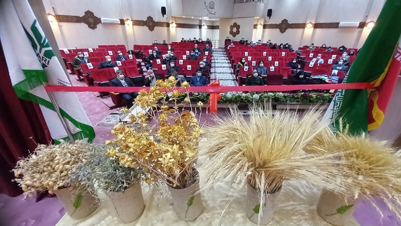 رونمایی از هفت رقم زراعی جدید در مراغه