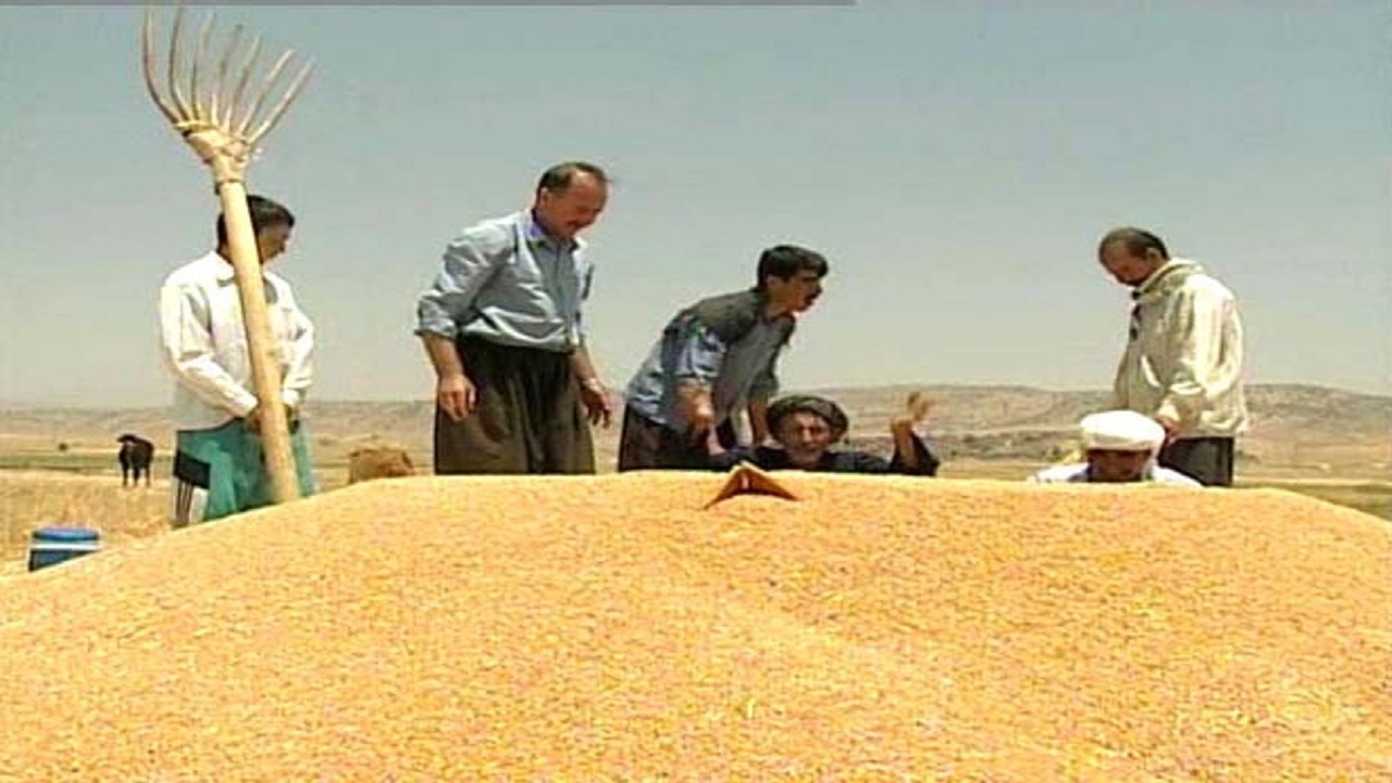جمع آوری بیش از ۶ میلیارد زکات در خراسان جنوبی