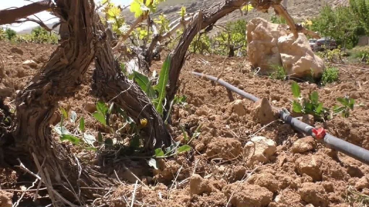 بهره برداری از پنج طرح بخش کشاورزی در کیار