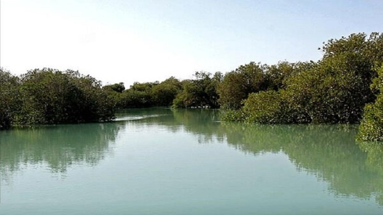 طرح نجات‌بخشی تالاب نایبند در بوشهر افتتاح شد