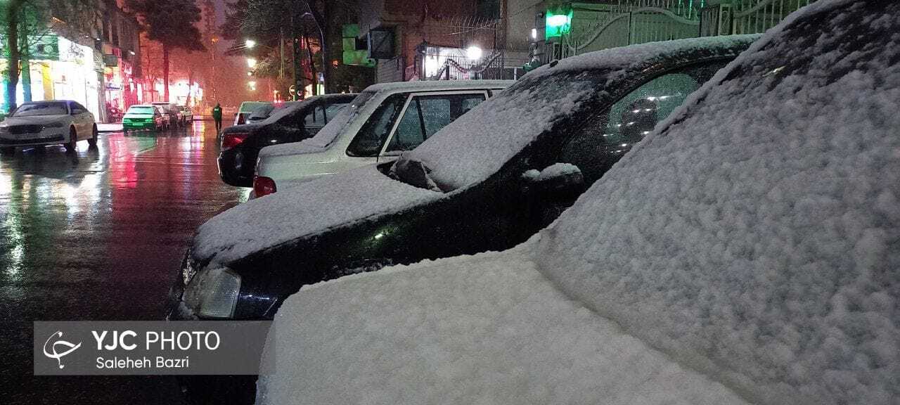 برف زمستانی به مشهد هم رسید+ عکس