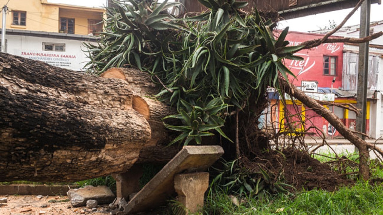 ۶ کشته و هزاران آواره در توفان ماداگاسکار