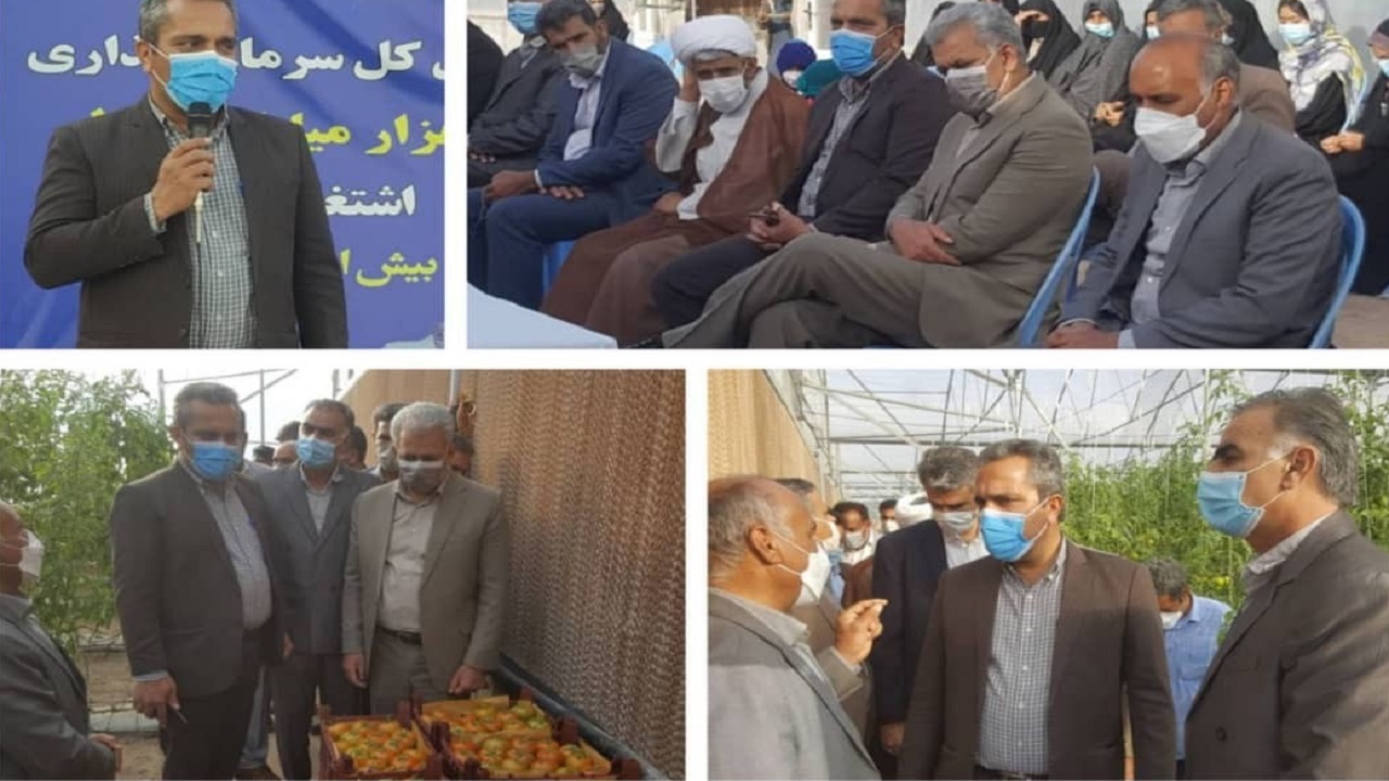 ایجاد اشتغال موثراولویت دولت باشد