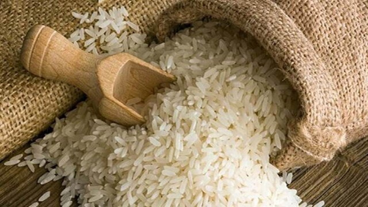 افزایش قیمت برنج؛ خشکسالی یا سودجویی برخی؟