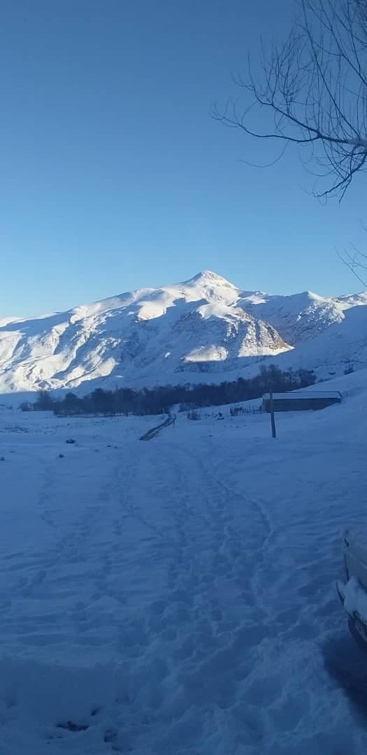 از
